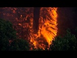 Replay De nouveaux départs de feu forcent des évacuations dans le nord de l'Espagne
