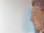 Replay Le nerf vague : dialogue entre le coeur et le cerveau