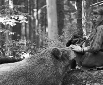 Replay Invitation au voyage - 10/02/2026 - En Pologne, l'union d'une femme et de la forêt