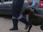 Replay 90' Enquêtes - Au coeur des quartiers chauds de Marseille