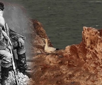 Replay Invitation au voyage - 25/03/2026 - À Heligoland, les pinceaux épousent les oiseaux