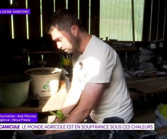Replay On a de l'info - Emission du 24-06-26