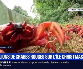 Replay BFM Première prématinale - Le break du 24 octobre