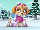 Replay Paw Patrol, la Pat'Patrouille - La tempête de neige