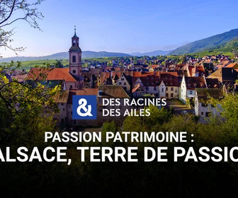 Replay Des Racines et Des Ailes