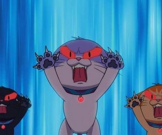Replay Totally Spies ! - Alerte chat-pardeurs