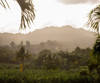 Replay Tropiques criminels - 12/03/2026