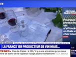 Replay Pourquoi la production de vin s'effondre-t-elle en Italie et pas en France? BFMTV répond à vos questions