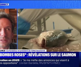 Replay D'où vient le saumon que nous mangeons? BFMTV répond à vos questions