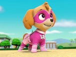 Replay Paw Patrol, la Pat'Patrouille - Le festival de cinéma