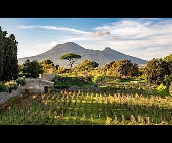 Replay De l'ancien au nouveau : le projet de Pompéi fait revivre une ancienne tradition viticole