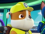 Replay Paw Patrol, la Pat'Patrouille - Trois pingouins dans la ville