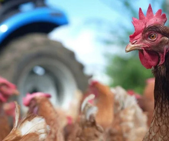 Replay C pas si loin - 23/02/2026