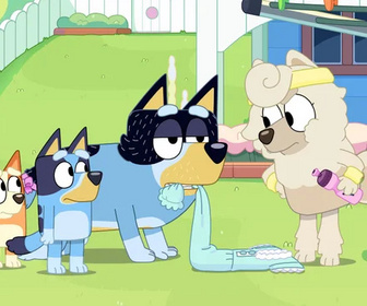 Replay Bluey - 15/09/2025