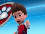 Replay Paw Patrol, la Pat'Patrouille - M. Hellinger le baby-sitter