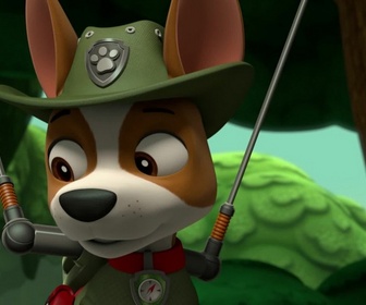Replay Paw Patrol, la Pat'Patrouille - Des pingouins dans la jungle