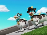 Replay Paw Patrol, la Pat'Patrouille - Le concours de la Super Vache