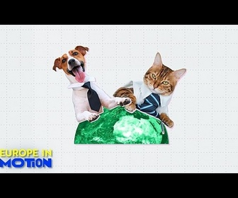 Replay Chiens et chats au travail : oui ou non? Les pays européens les plus accueillants pour les animaux