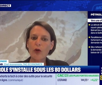 Replay BFM Bourse - L'éco du monde : Pétrole, l'AIE abaisse drastiquement sa prévision de pétrole mondiale - 17/01