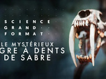 Replay Science grand format - Le mystérieux tigre à dents de sabre