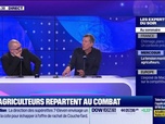 Replay Les experts du soir - Les agriculteurs repartent au combat - 13/11