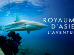 Replay Royaumes d'Asie, l'aventure
