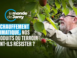 Replay Le monde de Jamy - 17/11/2025