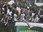 Replay Journal De L'afrique