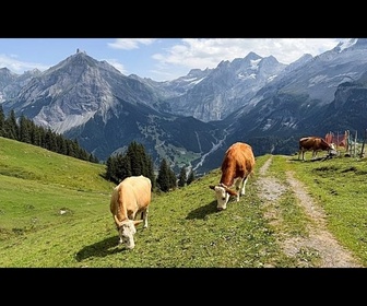 Replay Un village alpin suisse menacé par la fonte des glaciers