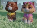 Replay Paw Patrol, la Pat'Patrouille - Mr Hellinger et l'oison