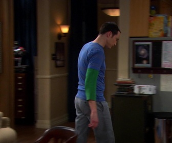 Replay The Big Bang Theory - S4E16 - L'équation de cohabitation