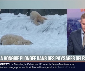 Replay BFM Première prématinale - Le break du 8 janvier