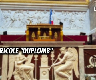 Replay Les grands débats - Loi agricole Duplomb