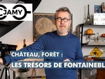 Replay C Jamy - Château, forêt : les trésors de Fontainebleau