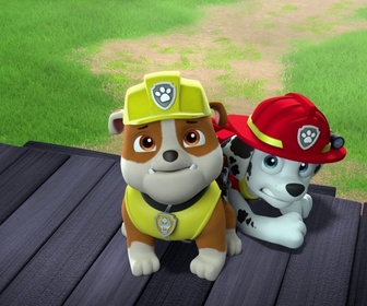 Replay Paw Patrol, la Pat'Patrouille - La journée de l'Amitié - 22'