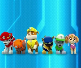 Replay Paw Patrol, la Pat'Patrouille - Chat-tastrophe !