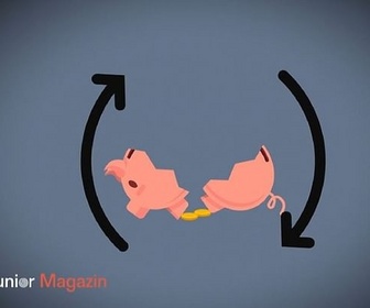 Replay ARTE Journal Junior - Dossier : lutter contre la pauvreté