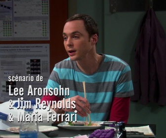 Replay The Big Bang Theory - S4E10 - Le parasite extraterrestre