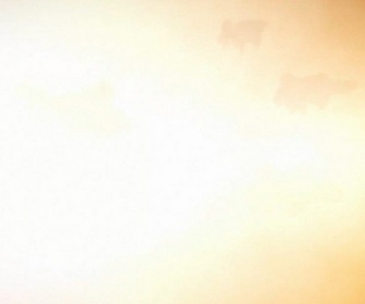 Replay Les héros de la galaxie : die neue these - S2 E1 - Amritsar