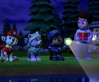 Replay Paw Patrol, la Pat'Patrouille - Le fantôme de la mare aux grenouilles