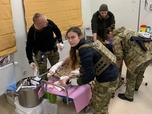 Replay 28 Minutes - Récit d'une jeune résistante ukrainienne