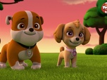 Replay Paw Patrol, la Pat'Patrouille - Sauvetage extrême : Mystérieuses disparitions