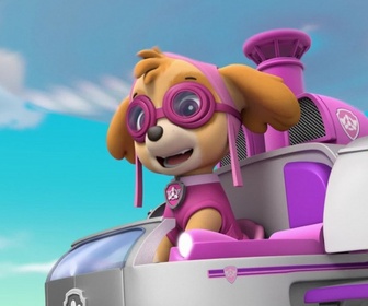 Replay Paw Patrol, la Pat'Patrouille - Jérémie