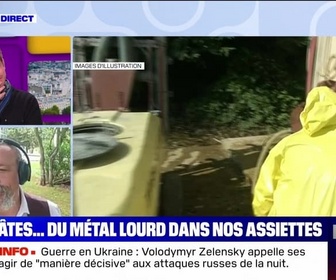 Replay Parlons info ! - Pain, pâtes.. du métal lourd dans nos assiettes - 06/06