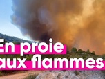Replay Top Info - L'Aude s'embrase. Comment expliquer cet incendie hors norme ?