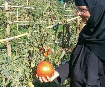 Replay Grèce, les petites soeurs de la terre - GEO Reportage