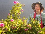 Replay La Bulgarie, le pays des roses