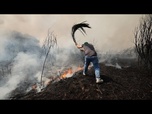 Replay Des milliers de pompiers luttent contre les feux de forêt en Espagne et au Portugal