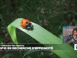 Replay Élément Terre - La COP16 en recherche d'efficacité pour enrayer l'effondrement de la biodiversité