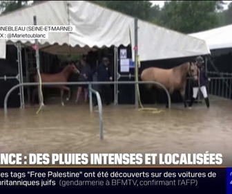 Replay 20H BFM - Pluies à Fontainebleau: le championnat national des jeunes poneys annulé